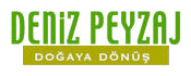 deniz-peyzaj.png